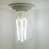 LED Filament lamp 10W | 1350lm | A60 E27 - daglicht sfeerfoto