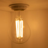 LED Filament lamp 14W | 2000lm | A60 E27 - sfeerfoto