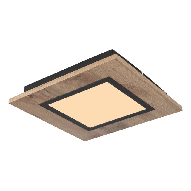 Plafondlamp LEA 12 Watt Matt zwart 1-Lichts Opaal