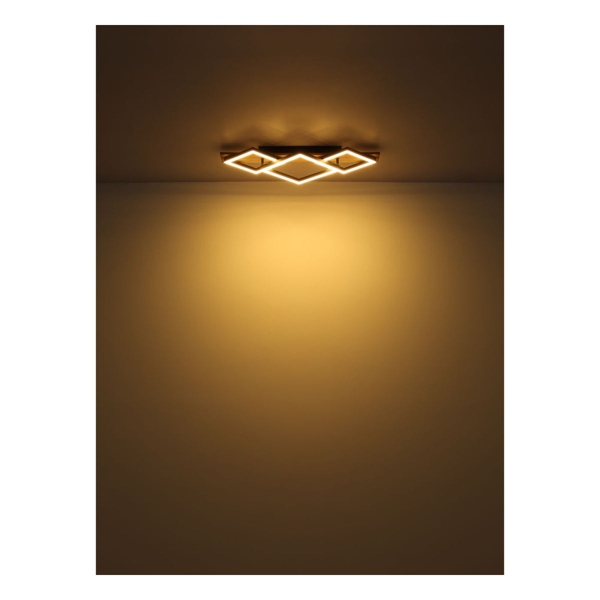 Plafondlamp BEATRIX 18 Watt Matt zwart 1-Lichts