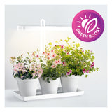 Mini-Innengarten / Anbauset / Gemüsegarten mit LED-Wachstumslampe 20 Watt | BLÜHEN