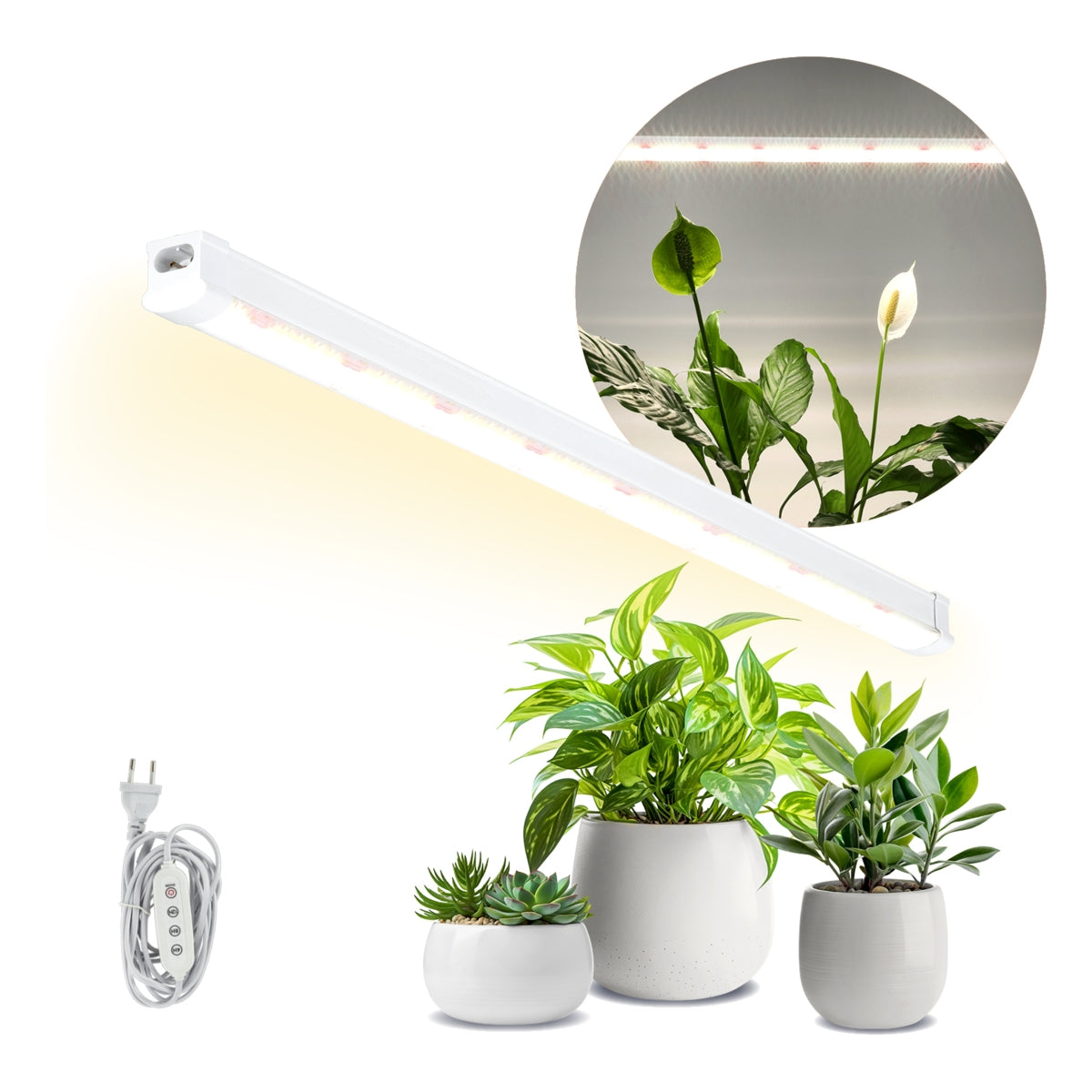 LED-Leuchtstoff-Wachstumslampe | Leuchtstofflampe für Pflanzen | 15 Watt | Weiß | Zeitlich einstellbar | Knurrend