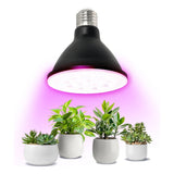 LED- Pflanzenlampe /  Pflanzenlampe E27 | 9 Watt | 38D | 300 Lumen | Schwarz | PFLANZLICH