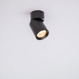 Smart Opbouw plafond spot - enkel - Zwart - HUE compatible - Incl. 1 Zigbee spot - warmwit